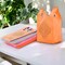 Kolam Print Return Non Woven Gifts Party Favor Bags Ecofriendly Reusable for Indian Wedding Housewarming Puja